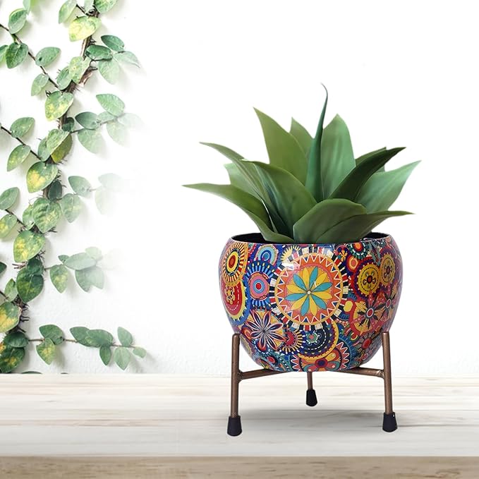 Succlent Plant pots